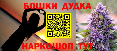 гашик Кингисепп